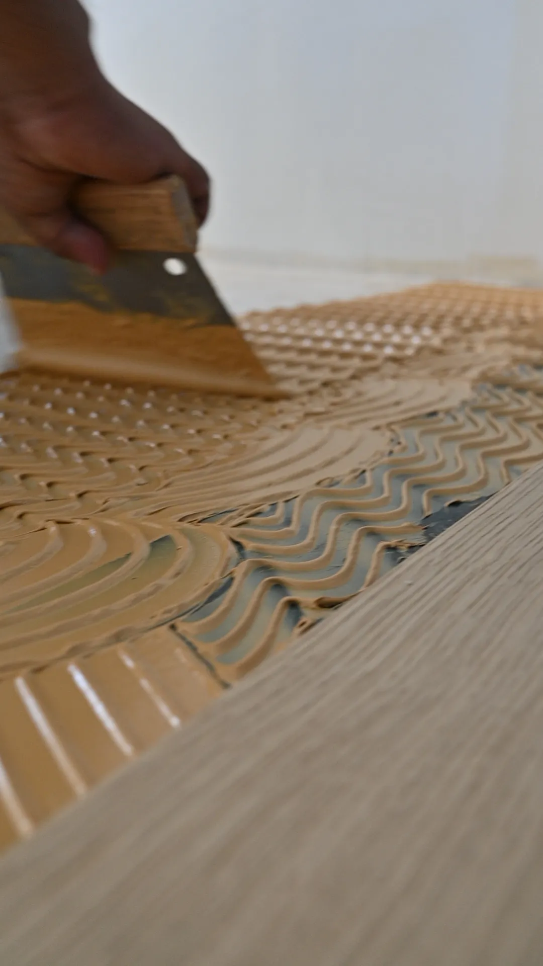 Macro detail of natural oak grain